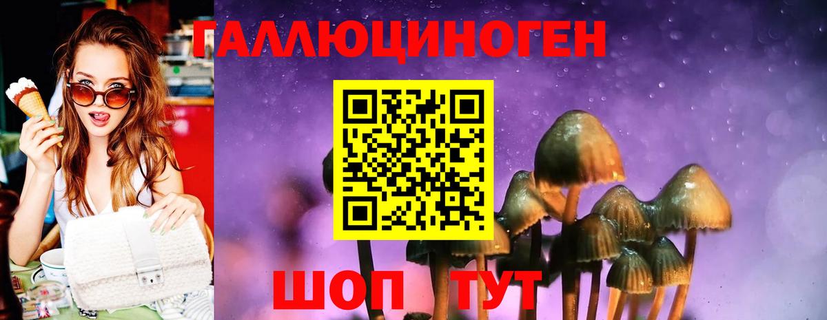 Малоярославец  Псилоцибиновые грибы ЛСД  Вход с VPN 